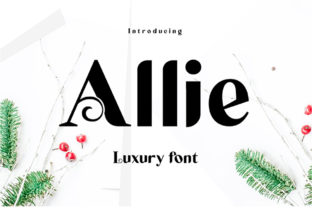 Allie: A Display Font with Editorial Charm