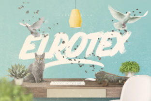 Elrotex: A Bold Display Font for Editorial Confidence