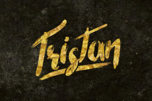 Tristan Font: A Bold Display Typeface for Standout Branding